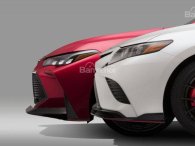 Toyota Camry 2019 và Avalon 2019 sẽ có bản TRD
