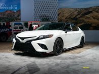 Sau Toyota Camry và Avalon, xe hiệu suất TRD và AWD sẽ xuất hiện nhiều hơn