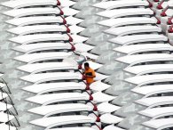 Hơn 50% ô tô nhập khẩu tại Việt Nam có xuất xứ Thái Lan