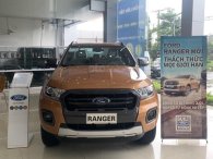 Phân khúc xe bán tải tháng 11/2019: Ông vua Ford Ranger vẫn chưa thể 'tụt hạng'
