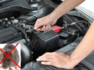 'Chiêu độc' giúp bảo vệ hệ thống dây điện trên ô tô không bị chuột cắn