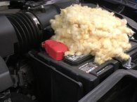 Tác hại của chuột đối với ô tô và cách chống chuột hiệu quả Tác hại của chuột đối với ô tô và cách chống chuột hiệu quả