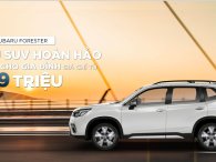 Mua Subaru Forester tháng 8, nhận ưu đãi giá trị lên tới hơn 250 triệu đồng