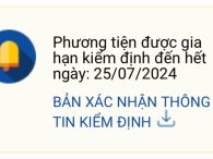 Gia hạn đăng kiểm xe ô tô áp dụng với nhóm xe nào?