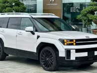 'Loạn' giá xe Hyundai Santa Fe 2024