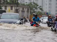 Các biện pháp tránh bão, bảo vệ ô tô khỏi cây đổ, ngập nước trong nội đô Các biện pháp tránh bão, bảo vệ ô tô khỏi cây đổ, ngập nước trong nội đô