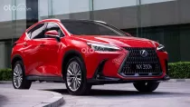 Giá xe Lexus NX 350 tháng 3/2026: Chốt giá từ 3,270 tỷ đồng