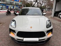 Xe cực mới