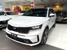 Model 2021, tư nhân chính chủ