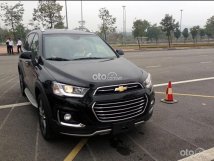 Màu đen giá hữu nghị