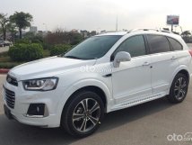 Màu trắng giá hữu nghị