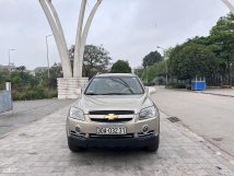 1 chủ từ đầu