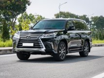 Model 2020, biển Hà Nội