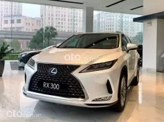 Vẻ ngoài mạnh mẽ thu hút mọi ánh nhìn