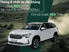 Mẫu xe dành cho cả gia đình, Ưu đãi 50% thuế trước bạ