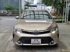 Màu vàng cát bền bỉ, bao check test toàn quốc