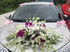 Toyota Vios 2019 1.5E MT - 82000 km