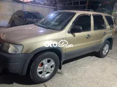 Ford Escape XLT Vàng cát 2002