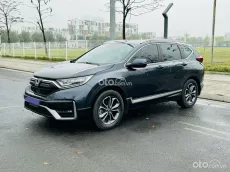 Sen sing AT1 5 L Bao hồ sơ
