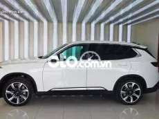 VinFast Lux SA 2019 Premium 80.000 km