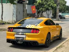 Ford Mustang 2014 2015 50.000 km Vàng