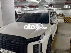 Hyundai Palisade 2023 Trắng 27.000 km