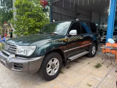 Landcruiser xe rin cọp