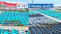Hàng nghìn xe VinFast từng xuất hiện tại cảng Trung Quốc nay ở đâu?