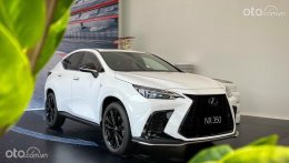 Lexus NX350 'dính' lệnh triệu hồi tại Việt Nam vì nguy cơ tụt dốc