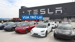Tesla lấy lại ngôi vua xe điện toàn cầu sau cú trượt dài của đối thủ BYD