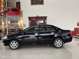 Máy số ngon, động cơ lành bền ít hỏng vặt