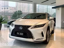 Vẻ ngoài mạnh mẽ thu hút mọi ánh nhìn