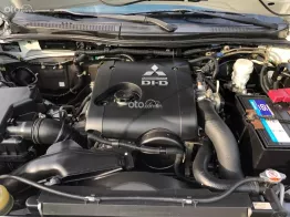 Suv lành bền nhất