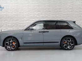 Model 2025 phiên bản mới series II