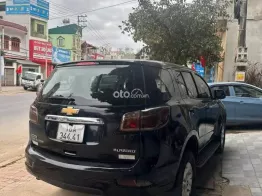 Xe đẹp, đi quanh thành phố
