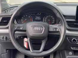 Một chủ từ đầu biển tỉnh