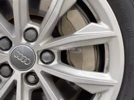 Một chủ từ đầu biển tỉnh