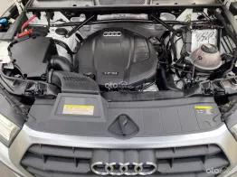 Một chủ từ đầu biển tỉnh