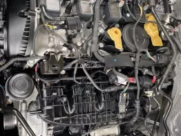 Một chủ từ đầu biển tỉnh