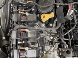 Một chủ từ đầu biển tỉnh