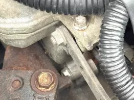 Đẹp như hoa hậu