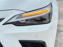 Lexus NX 350 2023 tại Bình Dương