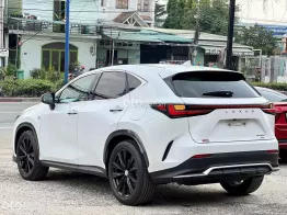 Lexus NX 350 2023 tại Bình Dương