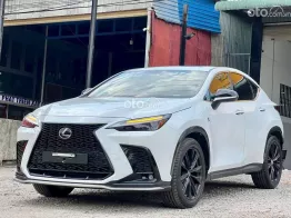 Lexus NX 350 2023 tại Bình Dương