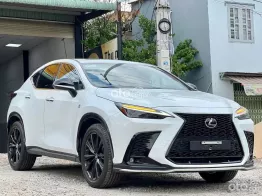 Lexus NX 350 2023 tại Bình Dương