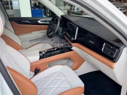 Màu trắng nội thất be giao sớm toàn quốc, phiên bản giới hạn dành cho chủ tịch