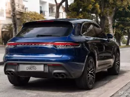 Gentian Blue Metallic