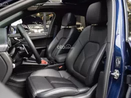 Gentian Blue Metallic