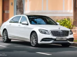 Trắng Kem, đẹp không lỗi