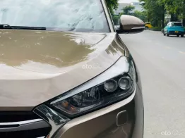 Xe không lỗi giá cực tốt